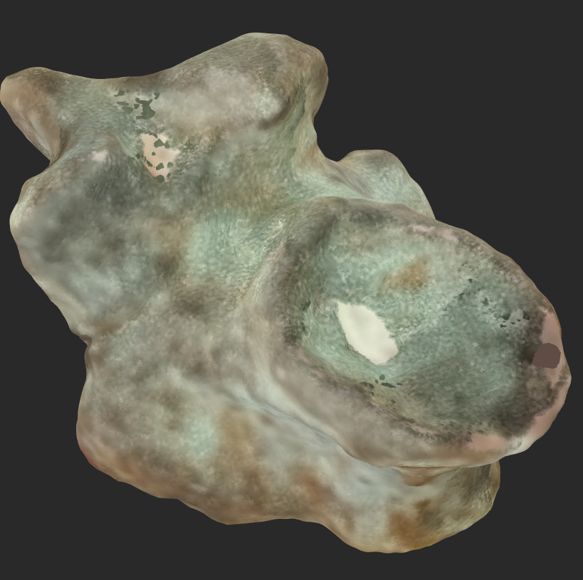 A 3d scan of a fossil on the computer screen